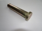 Preview: Bolzen für Zugmaul Durchmesser 30 mm Länge 145mm