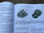Preview: Reparaturanleitung Motor UTB 445 + Fiat 450 355 455 + Laderaupe FL4 mit Bosch Einspritzpumpe