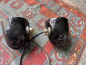 Preview: 2x Scheinwerfer original UTB ELBA Romania aus Lagerbestand 2. Wahl