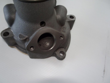 Wasserpumpe Fiat 580 680 780 1180