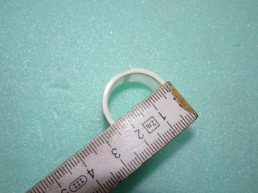 Ringsieb für neue Förderpumpe mit flachem Deckel UTB TIH Fiat