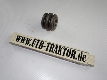 Reparaturteil Schnecke für kurze Welle im Lenkgetriebe TIH 445 + UTB und Fiat DT Allrad Modelle