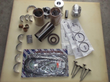 Motor Reparatur set Traktor Fiat 450 450R 450DT + UTB 445 TIH