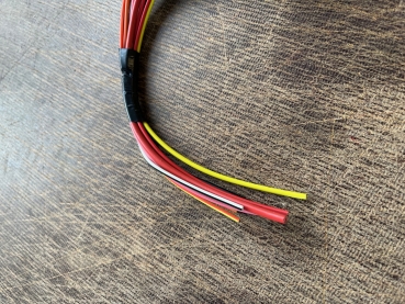 Sicherungsleiste mit Kabel