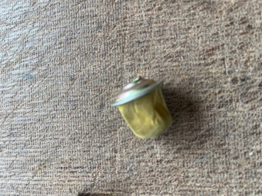 Dieselfilter leitungsfilter M14 mit Reserve Sieb