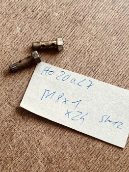 Hohlschraube lang vom Eicher Landau EDK M8x1 x 24 mm gebraucht