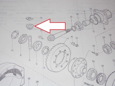 Kleines Zahnrad im Differenzial der Vorderachse  Fiat + UTB DT Modelle