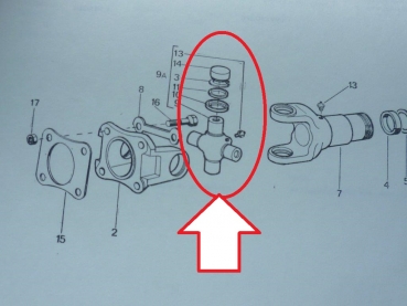 Kreuzgelenk für Kardanwelle UTB 550 640 DTC + Fiat