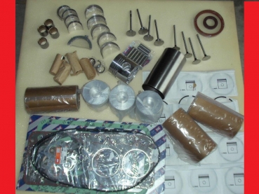 Motor Reparatur set Traktor Fiat 640