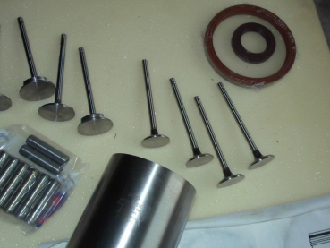 Motor Reparatur set Traktor Fiat 640