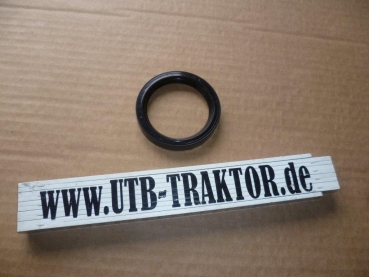 Simering für Getriebe Eingangswelle 445 UTB