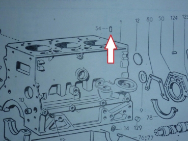 Stift mit Ölbohrung für Zylinderkopf UTB Fiat TIH