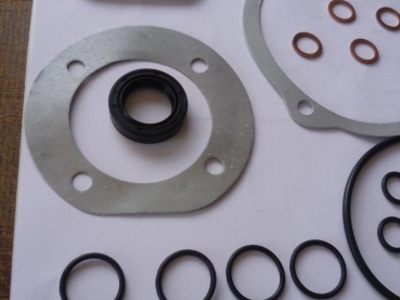 Dichtsatz Einspritzpumpe Traktor Universal UTB 650 651 + Raupe S651