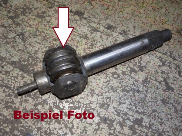Reparaturteil Schnecke für kurze Welle im Lenkgetriebe TIH 445 + UTB und Fiat DT Allrad Modelle
