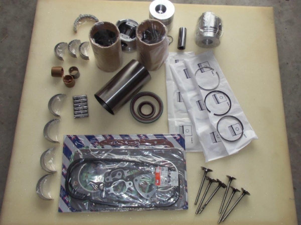 Motor Reparatur set Traktor Fiat 450 450R 450DT + UTB 445 TIH