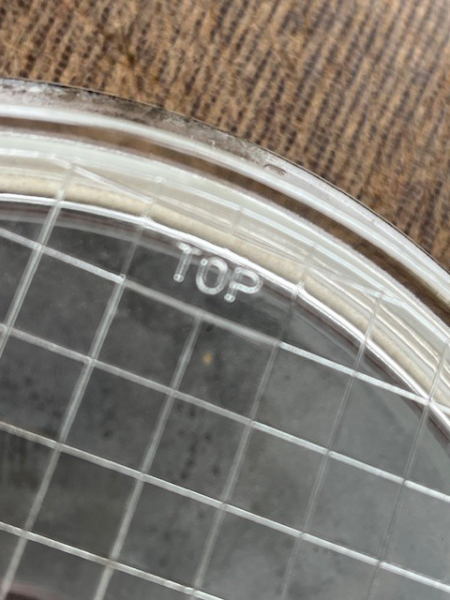 Reflektor für DDR Arbeitsscheinwerfer Suchscheinwerfer