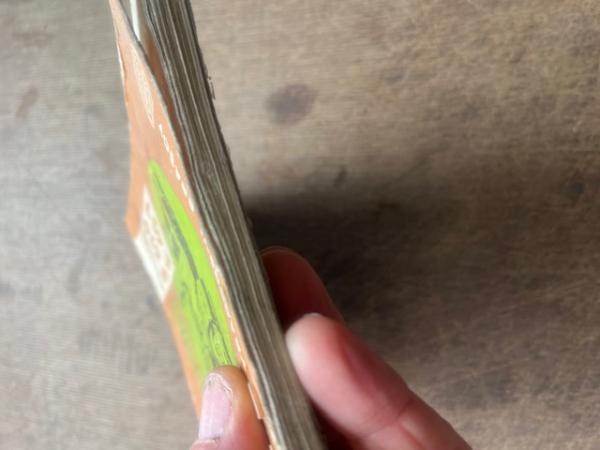 Technisches Handbuch Raupe UTB 650 651  original