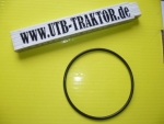 Dichtring UTB + Fiat außen am Differenzial zur Abdichtung vom Lagergehäuse