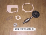 Reparatursatz Wasserpumpe Traktor Fiat 480 - 640